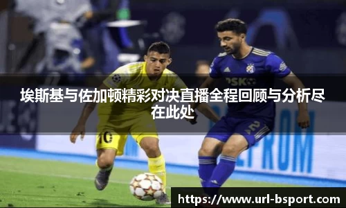 埃斯基与佐加顿精彩对决直播全程回顾与分析尽在此处